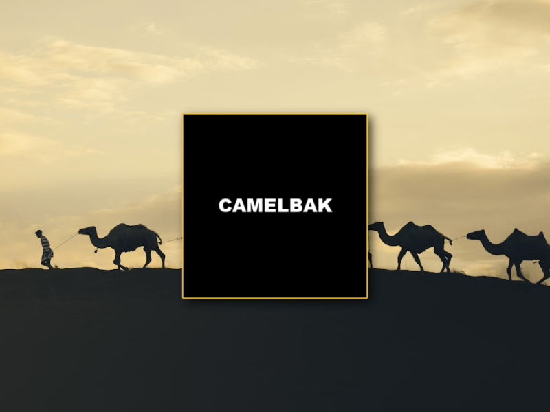CAMELBAK